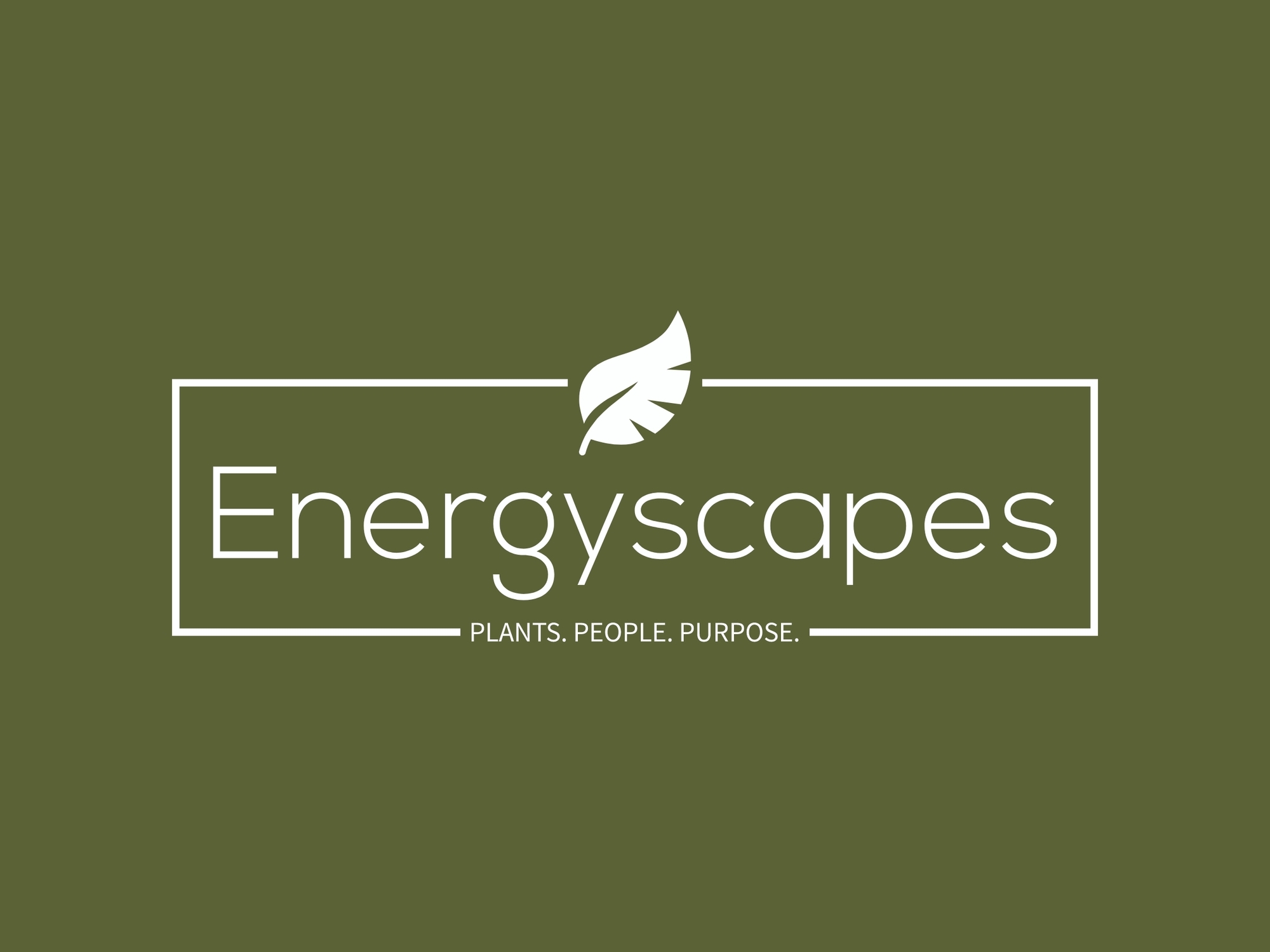 Energyscapes